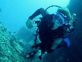 2013 Maldives Dives Web-IMG_4698