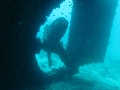 2013 Maldives Dives Web-IMG_4816