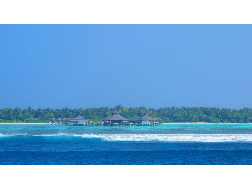 2013 Maldives Dives Web-IMG_4910