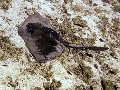 IMG_2789
