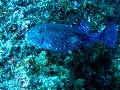 IMG_2859