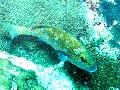 IMG_2947