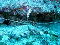 IMG_2990