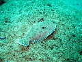 IMG_3051