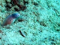 IMG_3064