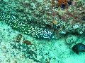 IMG_3065