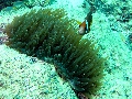IMG_3128