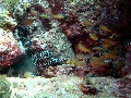 IMG_3260