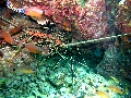 IMG_3290