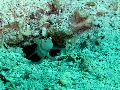 IMG_3297