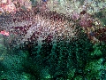 IMG_3352