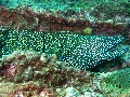 IMG_3382