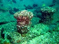 IMG_3408