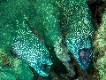 IMG_3460