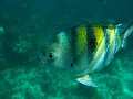 Bahamas 2010 June29