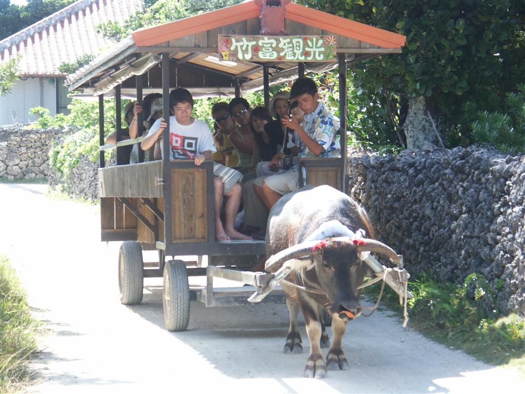 2005 Japan Okinawa  TaketomiPICT1796Sel