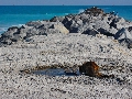 2010-Jan-Miami 00125