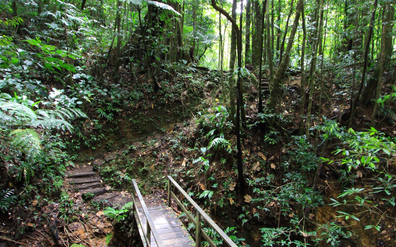 2010-Jan-Dominica00111