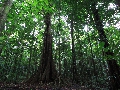 2010-Jan-Dominica00105