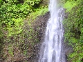 2010-Jan-Dominica00107