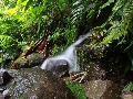 2010-Jan-Dominica00108