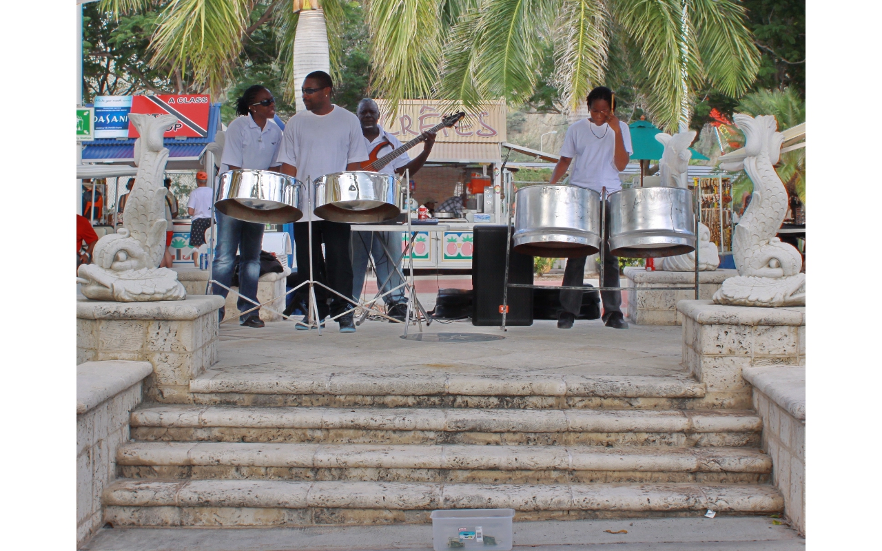 2010-Jan-St_Martin 00113