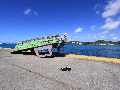 2010-Jan-St_Martin 00108