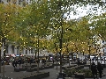 2019 USA NYC PN140013 - 2019-11-14