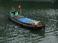 2007_Hong_Kong499